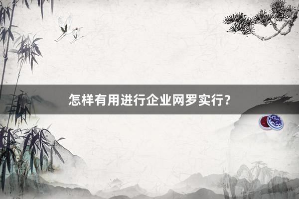 怎样有用进行企业网罗实行？