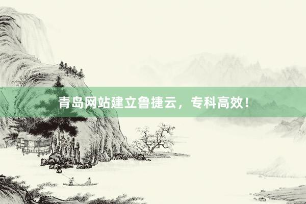 青岛网站建立鲁捷云，专科高效！